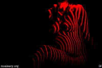 Pregnant figure nude with laser contour lines. Light painted photograph.